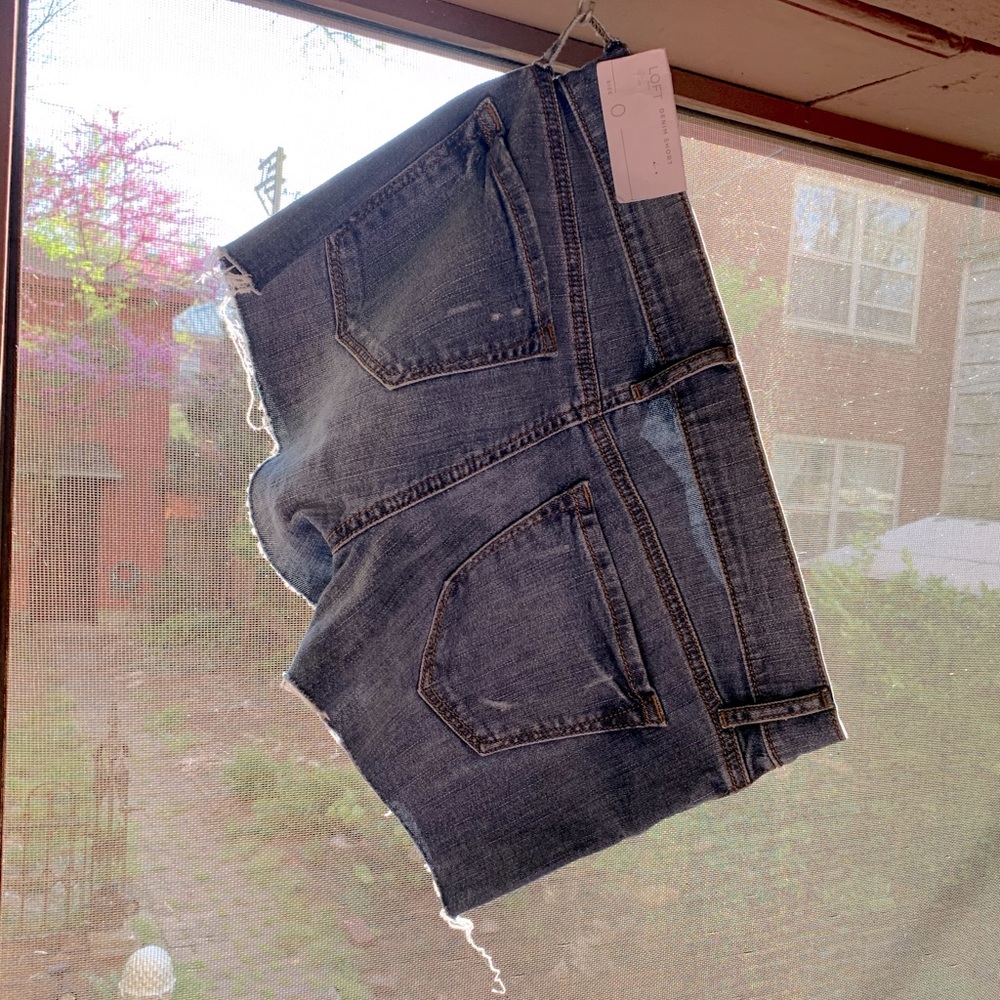 LOFT JEAN SHORTS NWT